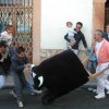 ganaderos (16)